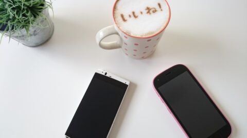 インスタントポット低温調理メニューでローストビーフに挑戦 レシピ