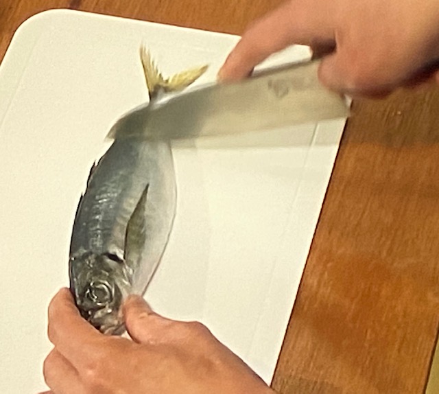パパジャニwest 魚のさばき方 アジの三枚おろし 刺身の作り方 画像付きで紹介 8月11日