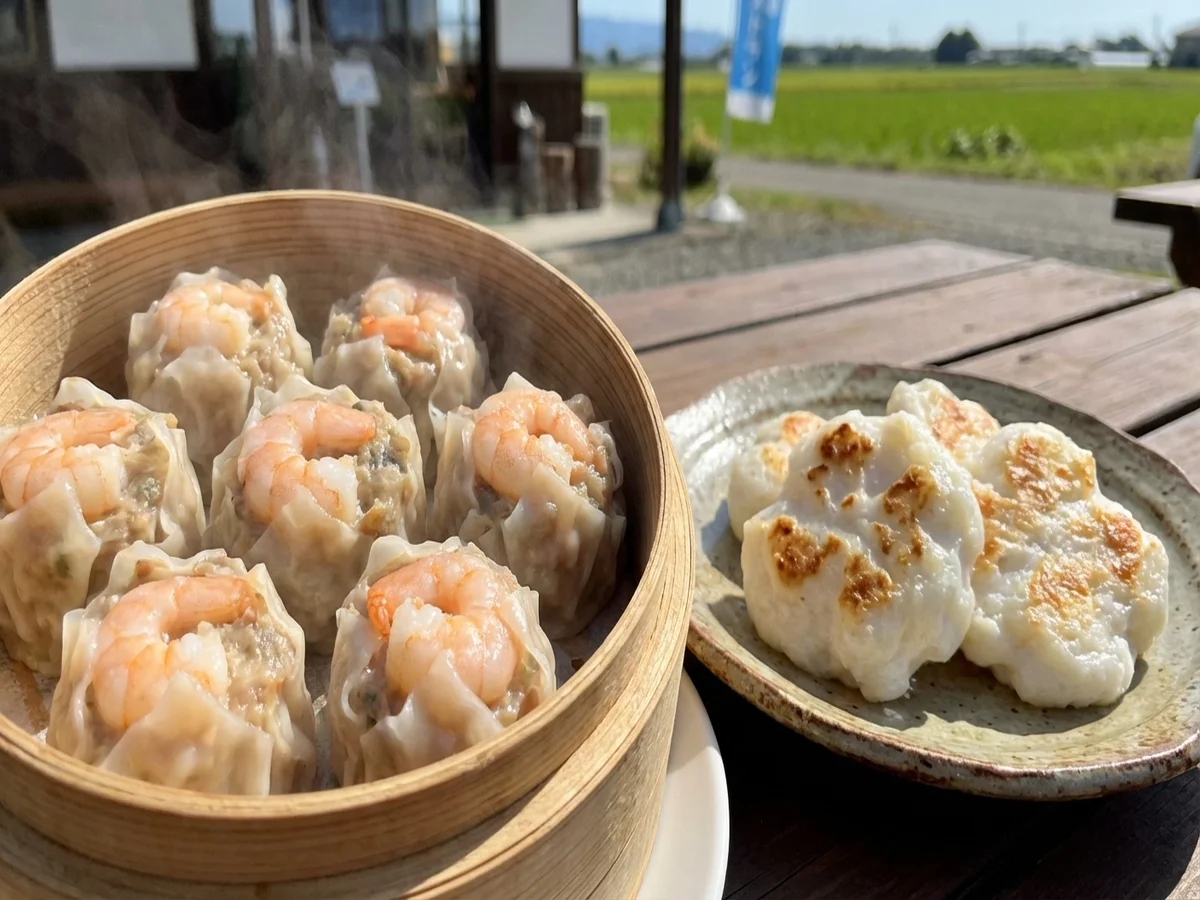 repaired 36063 1770034177