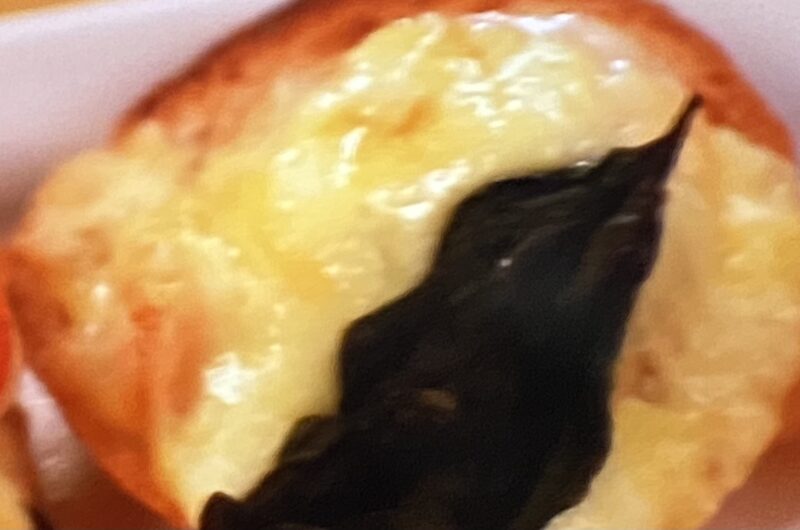 【ZIP】チーズ鮭マヨトーストの作り方 平野紫耀さん鮭アレンジレシピ（9月21日）