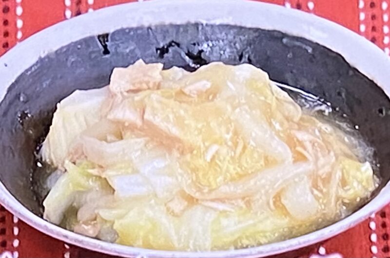 【きょうの料理】白菜とツナ缶のとろっと重ね煮作り方 本田朋子さん白菜アレンジレシピ（1月5日）