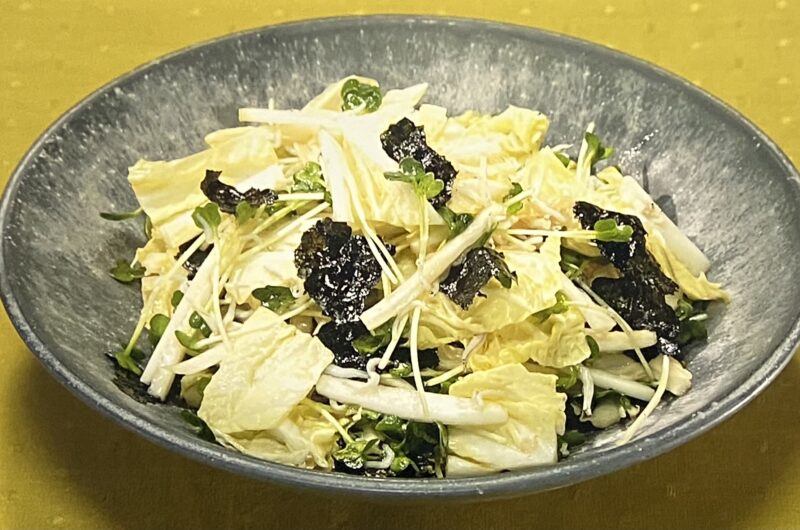 【きょうの料理】白菜の海苔しらすあえの作り方 市瀬悦子さん白菜アレンジレシピ（1月5日）