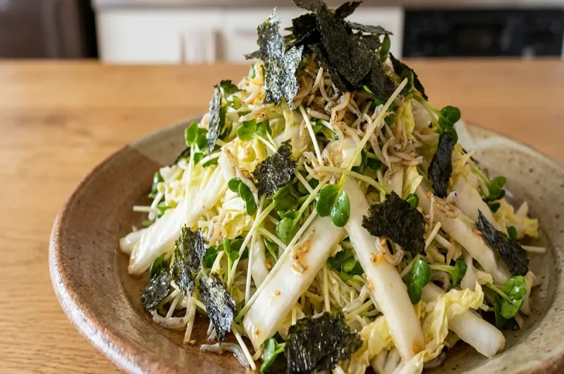 【きょうの料理】白菜の海苔しらすあえの作り方 市瀬悦子さん白菜アレンジレシピ（1月5日）