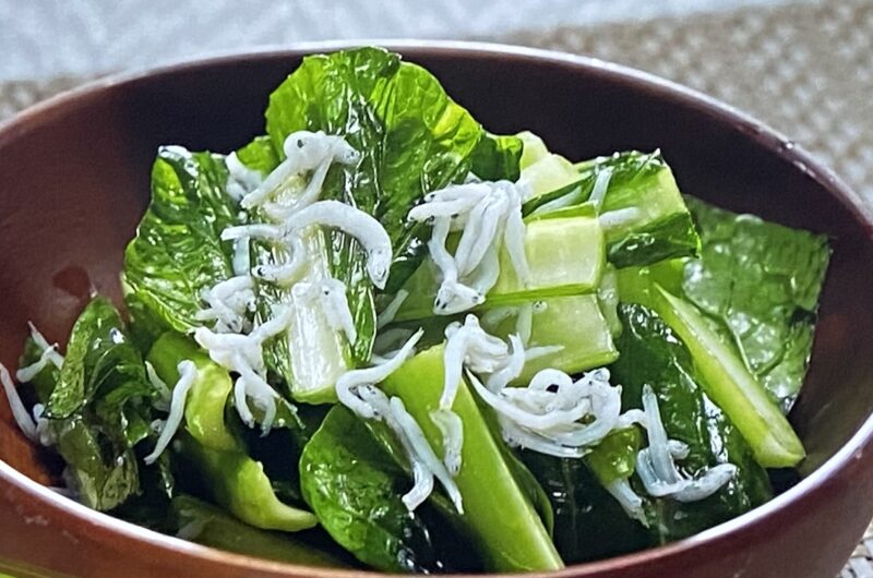 【相葉マナブ】小松菜の生サラダの作り方 小松菜レシピ（2022年5月1日）