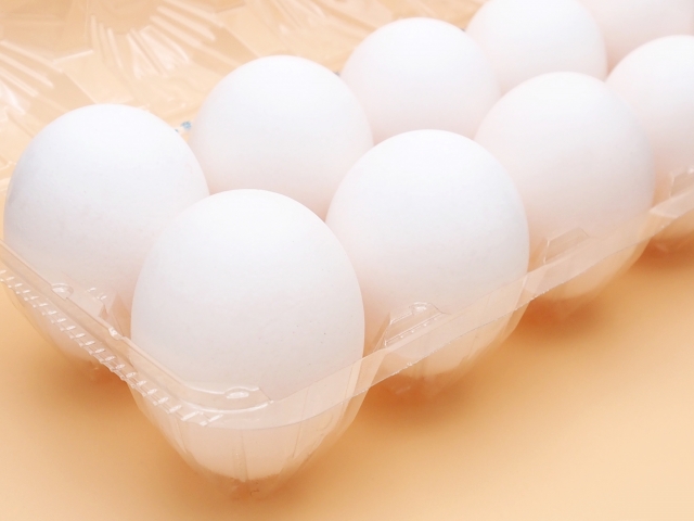 卵についての知識と魅力