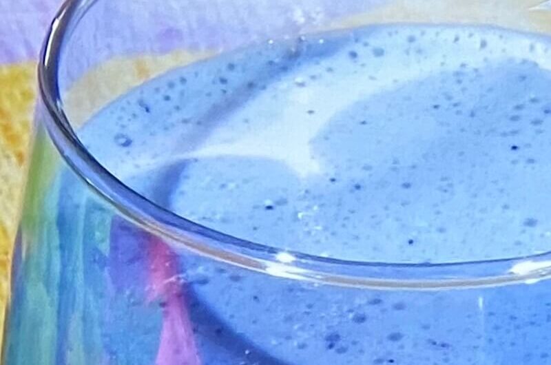 【ヒルナンデス】なすとブルーベリーの冷製ポタージュスープの作り方 Atsushiさんナスレシピ（2022年8月17日）