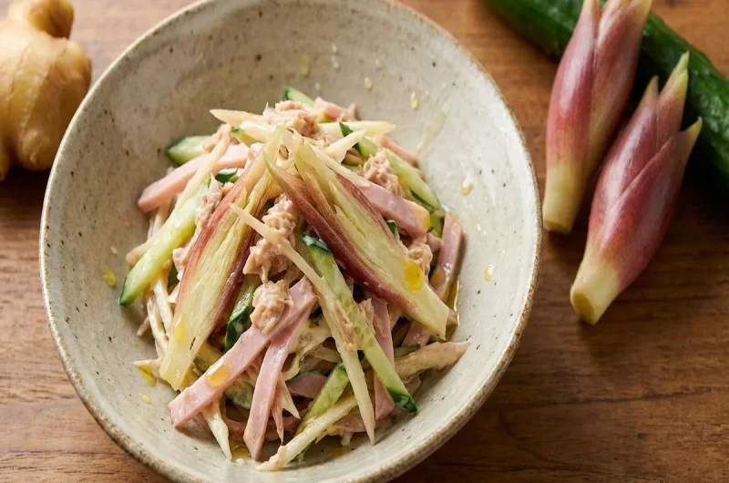 【きょうの料理】新しょうがとみょうがのサラダのレシピ ヒャダインさんの夏野菜おかずの作り方（2022年8月12日）
