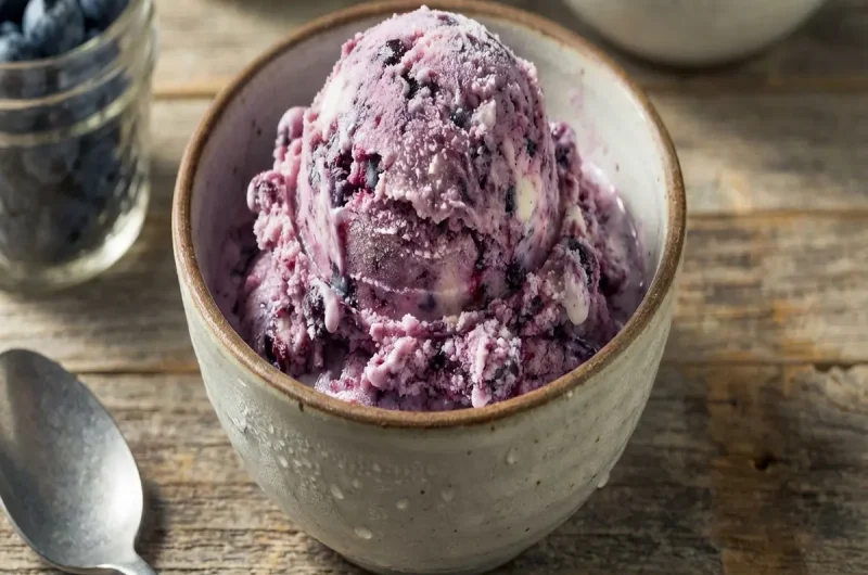 【あさイチ】冷凍ブルーベリーアイスクリーム 冷凍食品活用レシピ（2022年8月24日）