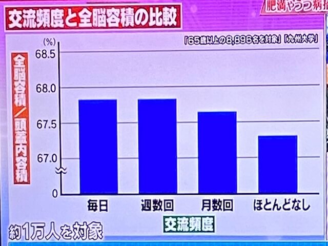 交流頻度と全脳容積の比較