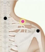 肩凝りのツボ１