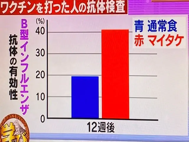 北海道情報大学マイタケMDフラクション