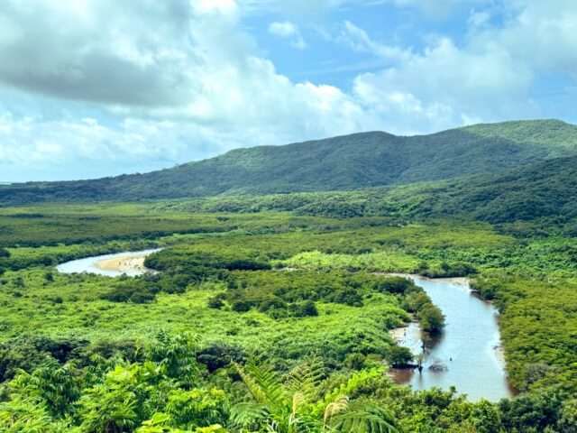 西表島仲間川