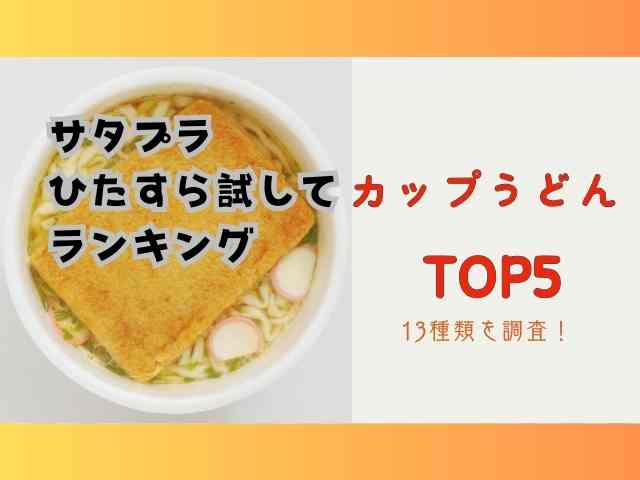 サタプラカップうどん