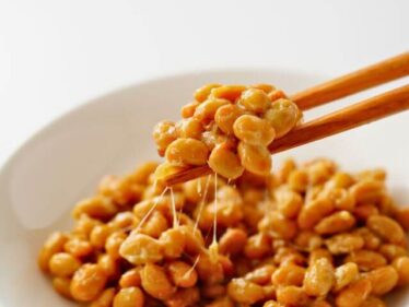 【せっかち勉強】納豆にプリンを加えると美味しい!?(2025年4月24日) 6 nattou