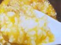 kamotonegioyakodon