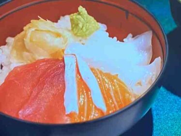 maguroichidaikaisendon