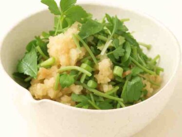 【きょうの料理】おろし薬味ソースの作り方 和田明日香さん薬味が主役の初夏レシピ2025年5月14日 6 oroshiyakumisauce0514