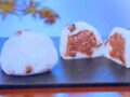 siomamedaifuku0523