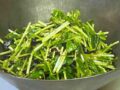 tomyosalad0520