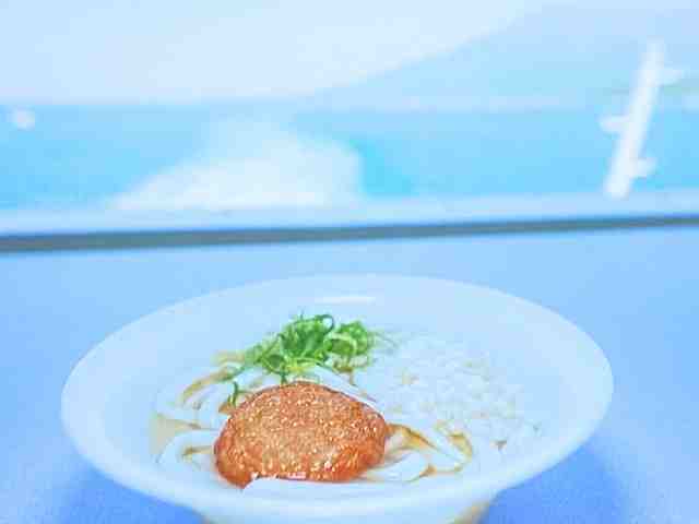 【帰れマンデー】桜島フェリーうどん・やぶ金ごぼ天うどん鹿児島県行列グルメお店情報2025年5月19日 7 やぶ金うどん