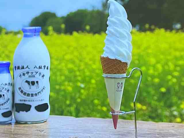 【ざわつく金曜日】ソフトクリーム4種!上高地・札幌・富山・大分のお店情報2025年6月20日 9 北海道ツキサップソフトクリーム