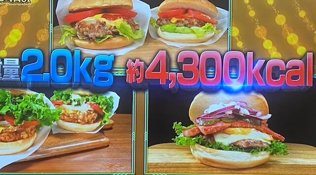 【それって実際どうなの会】ハンバーガーダイエット結果チャンカワイさん検証2025年7月21日 7 ハンバーガー1日目