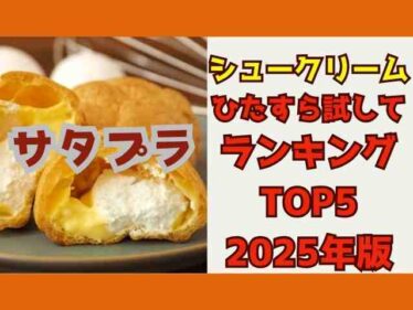 【サタプラ】シュークリームひたすら試してランキングトップ5結果2025年7月12日放送12種類採点 6 satplushucream2025