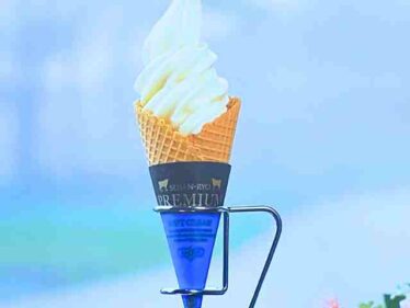 【ざわつく金曜日】清泉寮プレミアムソフトクリーム(山梨県清里)お店 究極の2択2025年7月11日 6 seisenryosoft0711