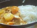 gyunyucurry