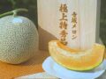 terasakamelon0815