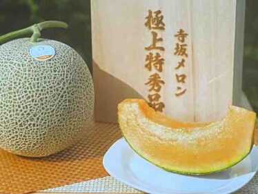 terasakamelon0815