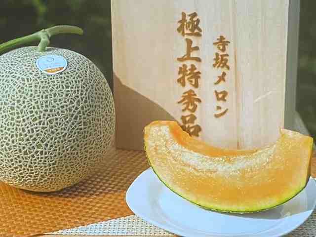 terasakamelon0815