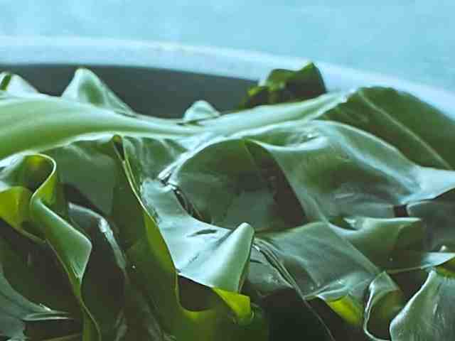 kansowakame0930