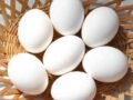 tamago0908