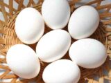 tamago0908