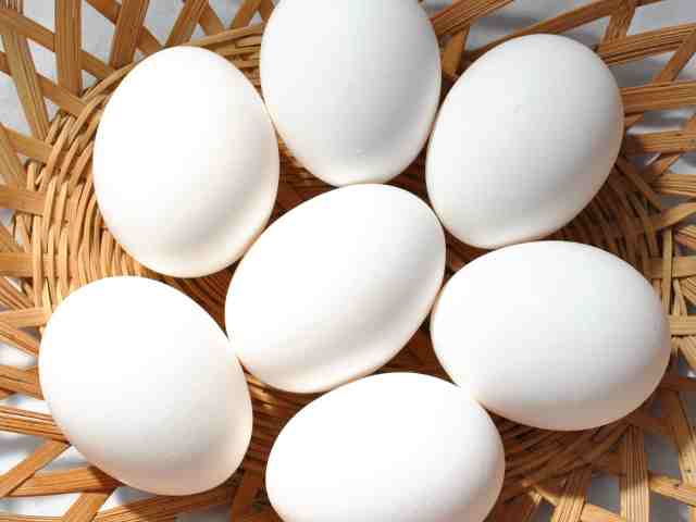 tamago0908
