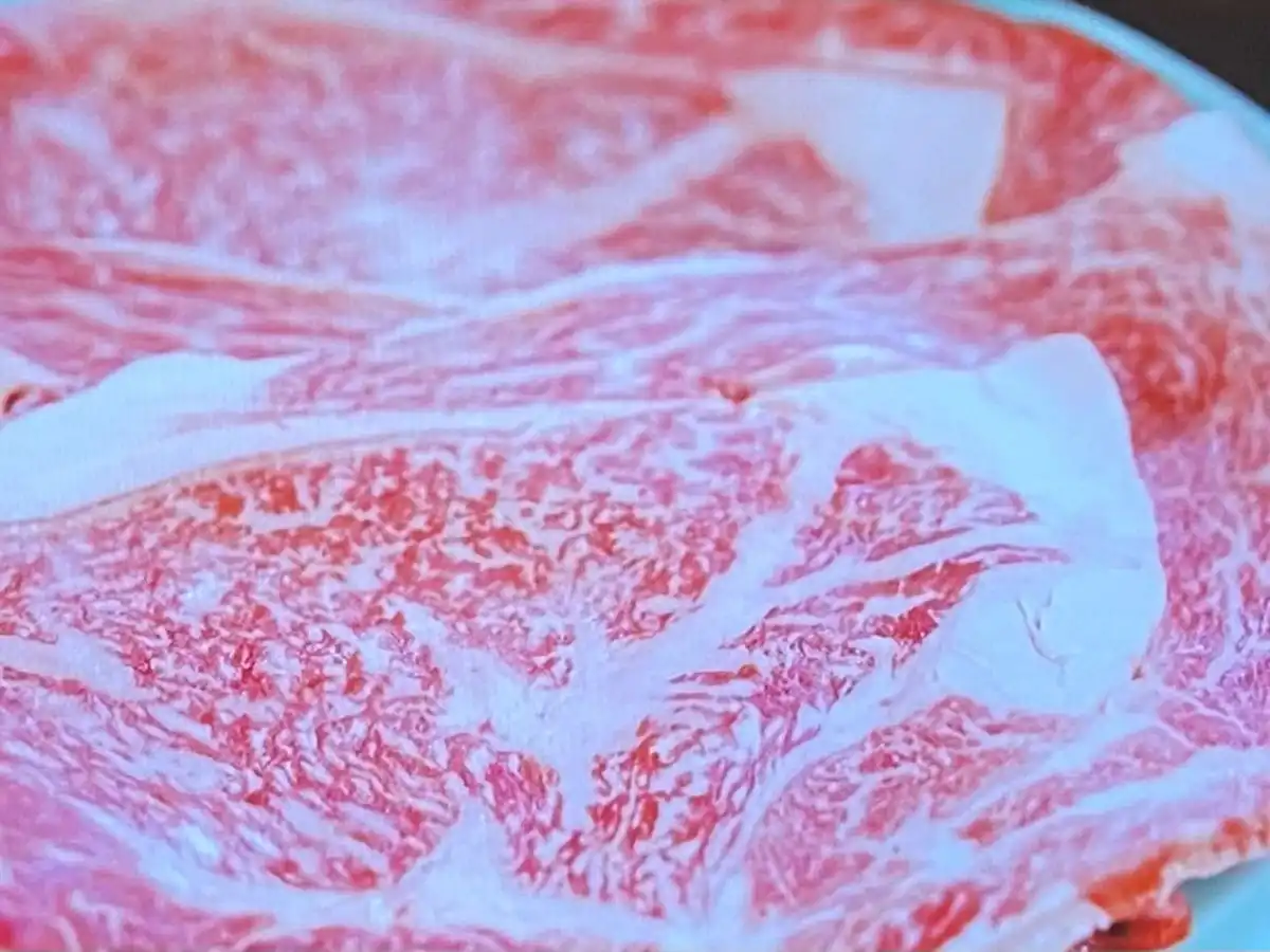 【ざわつく金曜日】牛銀本店(松阪市)牛しゃぶ水たき 牛肉VS豚肉究極の2択結果2025年10月31日 17 gyushabu1031