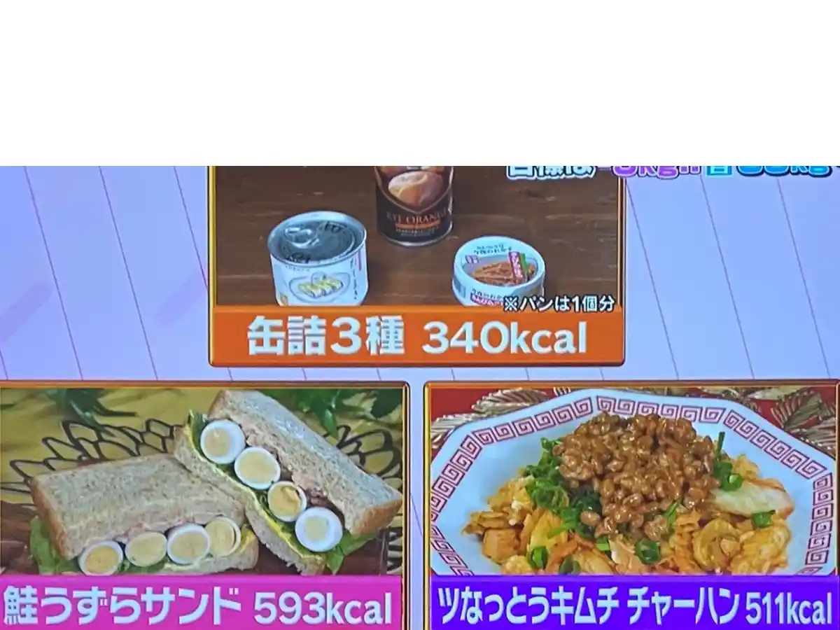 【熱狂マニアさん】缶詰ダイエットレシピ・メニュー りんごちゃん10日間で何キロ痩せる?2026年1月31日 78 缶詰ダイエット2日目