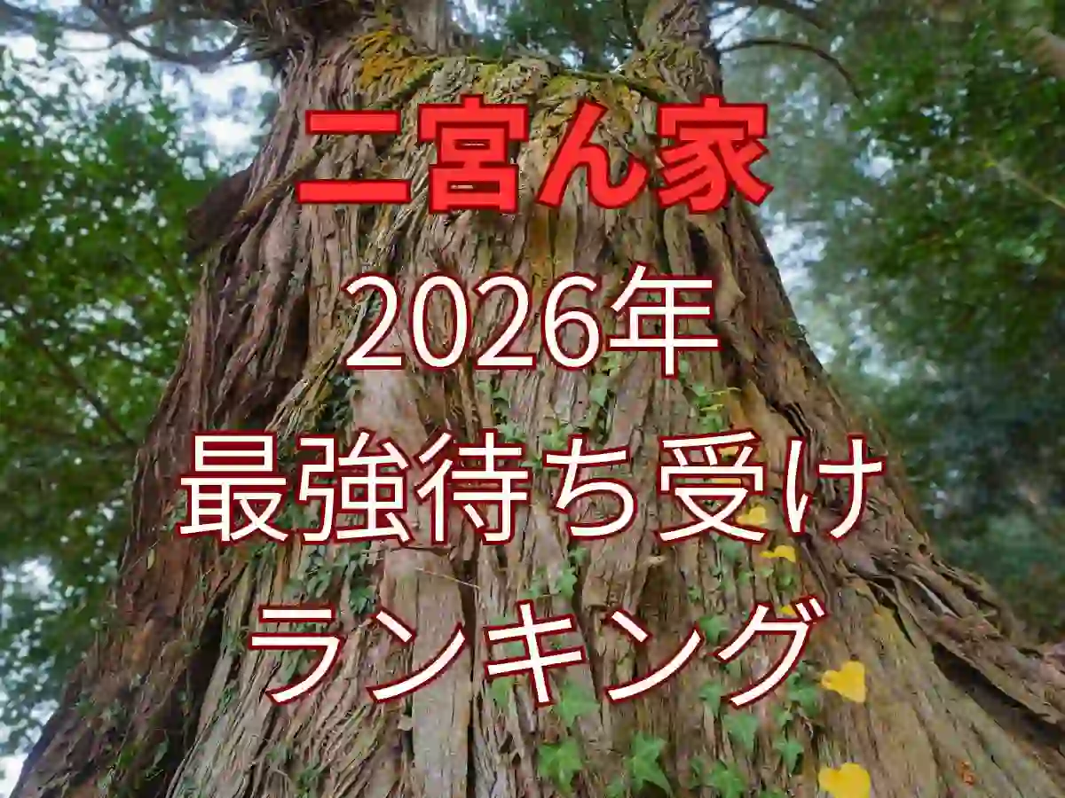 ninomiyamachiuke260103