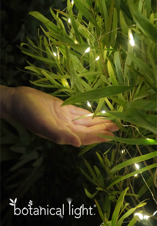 【世界一受けたい授業】日本のスゴイところベスト6世界が絶賛!(2022年2月12日) 12 03047b08d5949d262755bf300dcd5387