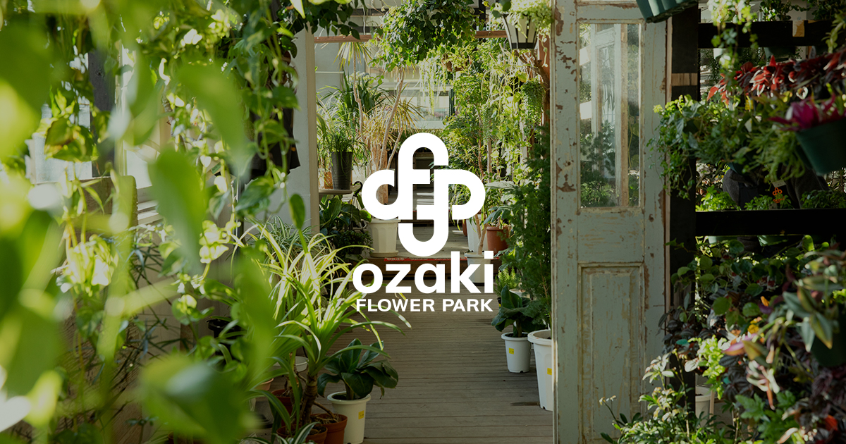 【土曜は何する】生見愛瑠(めるる)わがままドライブ山ちゃん(2022年9月24日) 7 2b27b2a46ba6ac57b66afc1dd2391eb8