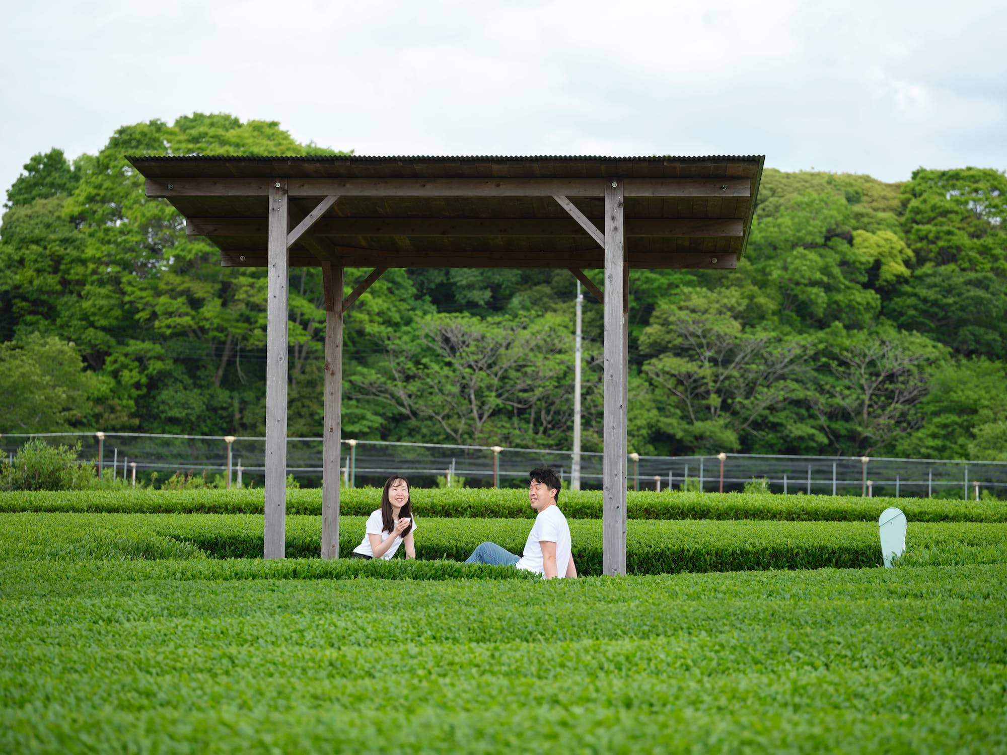 【土曜は何する】静岡県富士・清水吉住さんと大久保佳代子さんぷらっとりっぷ(2022年5月21日) 7 4a8aa629616d9ffcbe43ca6dad8beafc