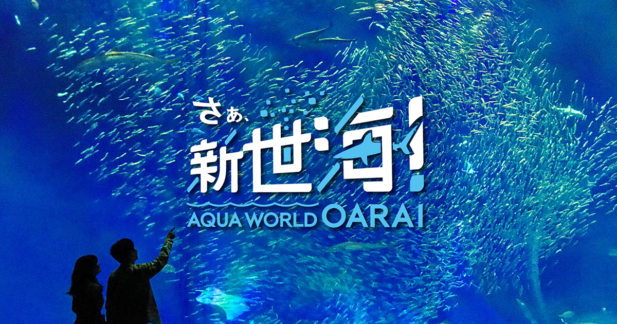 【土曜は何する】土屋アンナなすなかにし茨城県大洗へぷらっとりっぷ(2023年1月28日) 7 6799b9d3a52a2a02f796603c54365b79