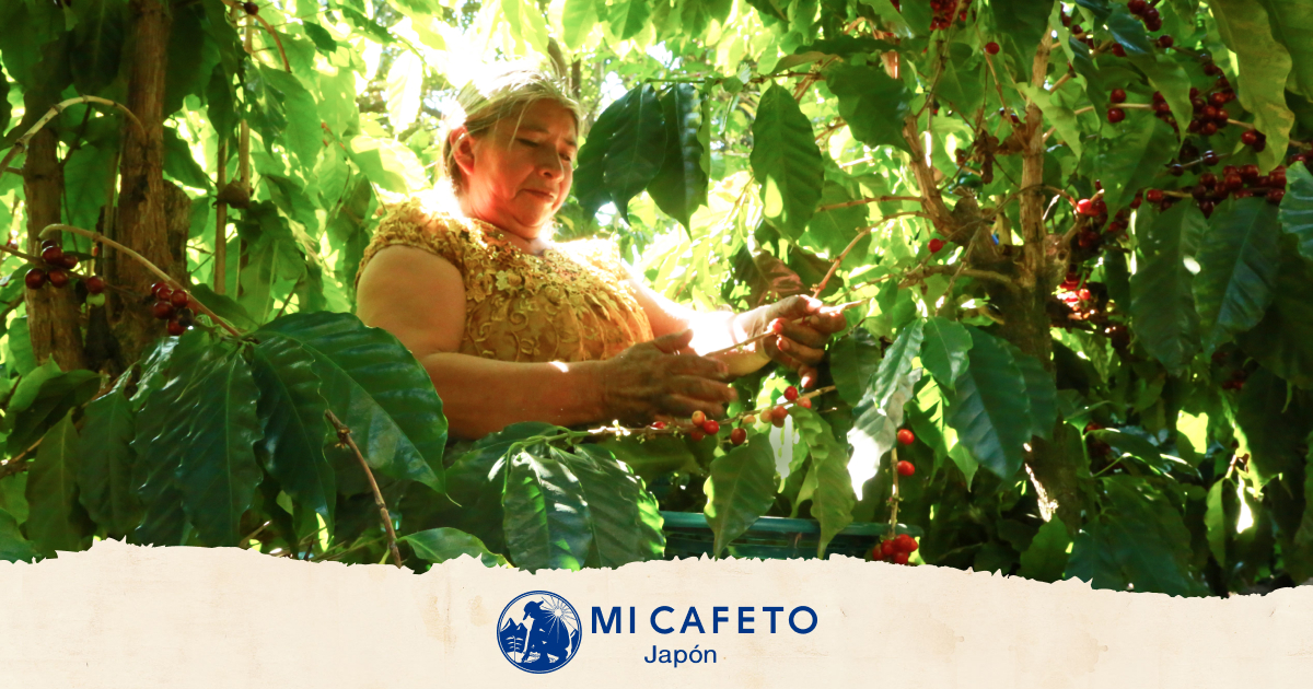 【櫻井有吉THE夜会】SnowMan手土産&お取り寄せ情報まとめ スノーマンとお花見パーティー(2022年3月24日) 45 bb2baccdbdfb50f64a0c6bb8ea5b1552