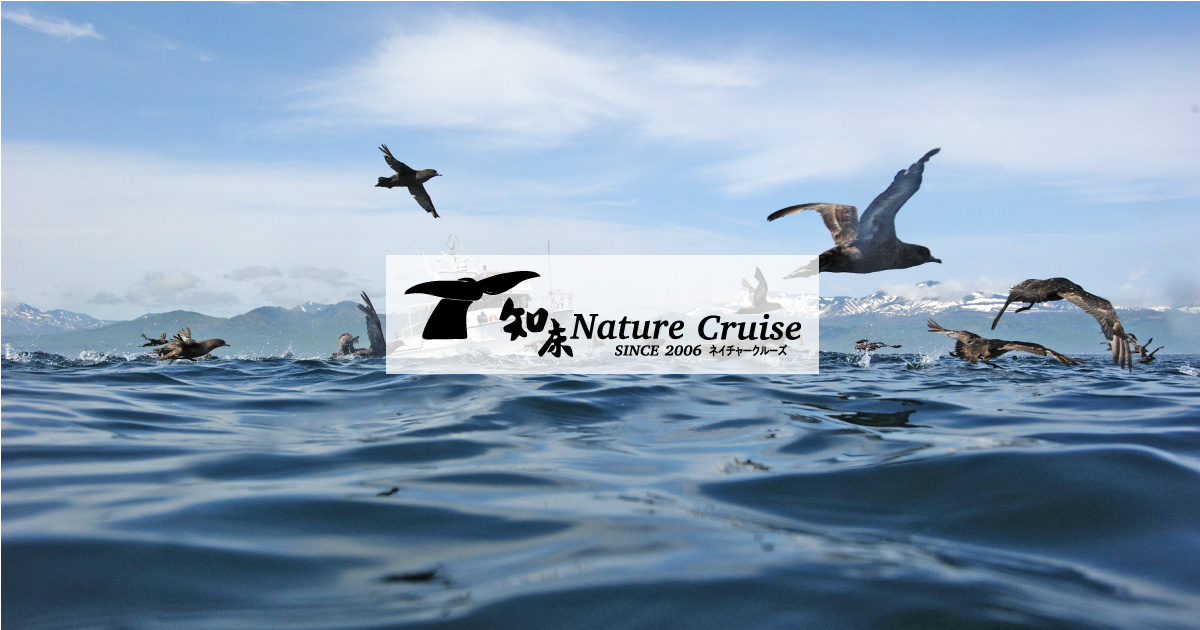 【涼しい観光名所総選挙】夏に行ってよかった日本の涼しい観光地ベスト20ランキング順位結果|2024年8月5日 38 bdc3a1a69ab98aa6107dd329c1e0feef