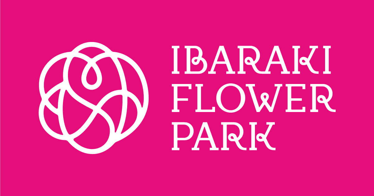 【土曜は何する】宇野実彩子さん(AAA)ミラクルひかるさんが茨城県へぷらっとりっぷ(2024年1月13日) 19 c73bcd32397fcf2992064d26d13ba0bc