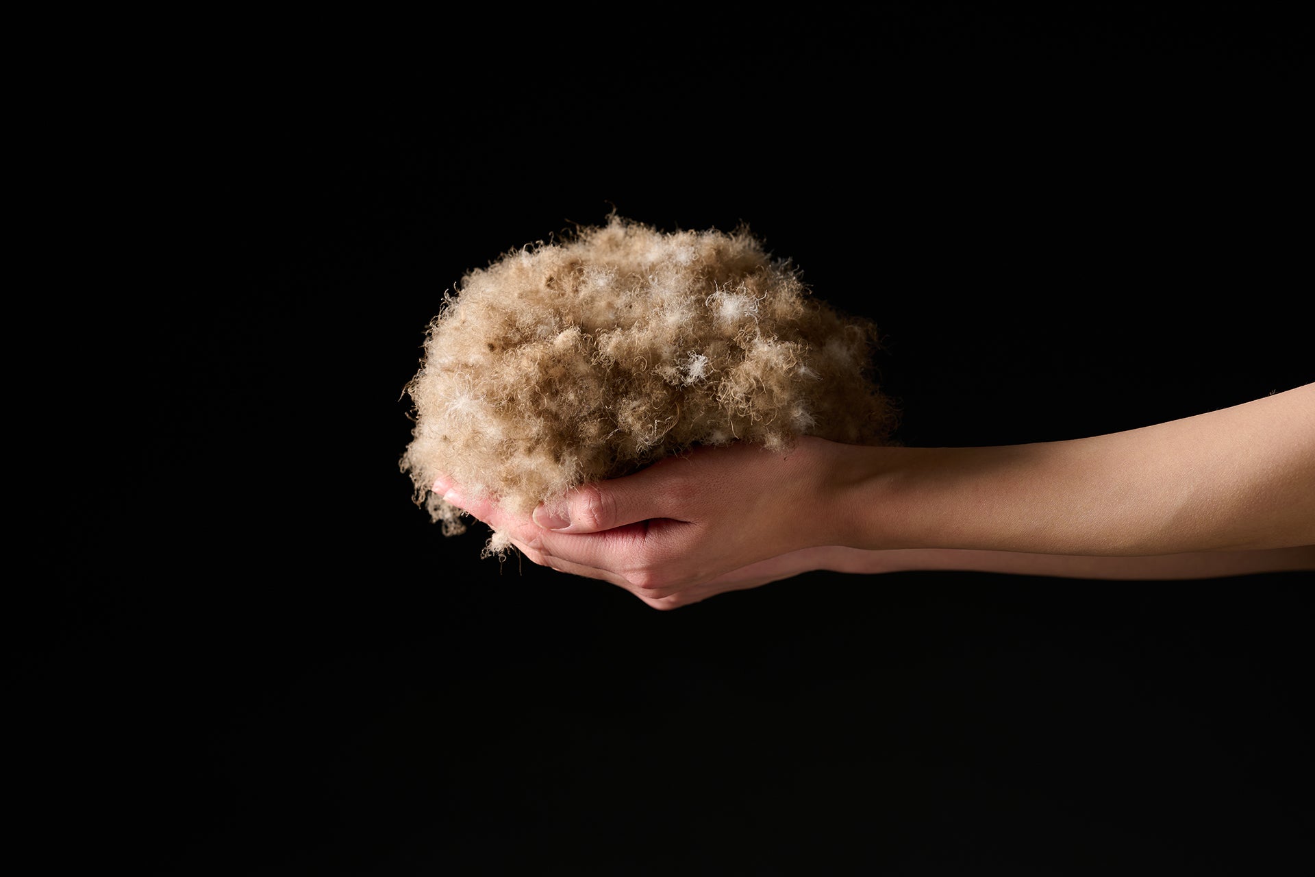 【ざわつく金曜日】羽毛布団和雲アイダーモデルの値段 どんどん高くなる選手権極上寝具2025年9月5日 7 ca1e6751e1aa14a7bce23caabdd87e10